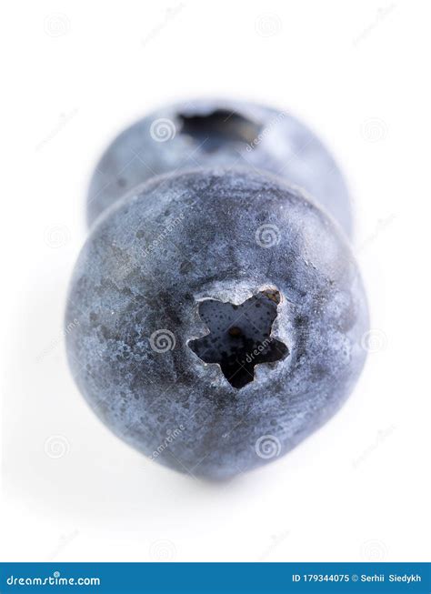 Fresh Large Blueberry Stock Image Image Of Darkly Vitamin 179344075