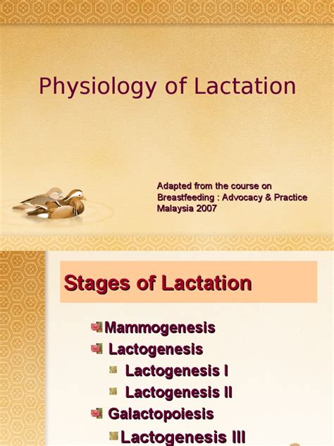 physiology of lactation lactation secondary sexual characteristics