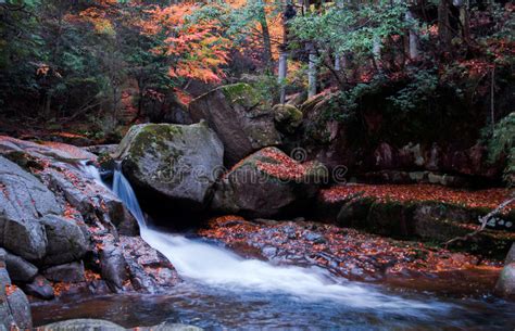 Waterfall And Red Autumn Leaves Stock Image Image 46583287