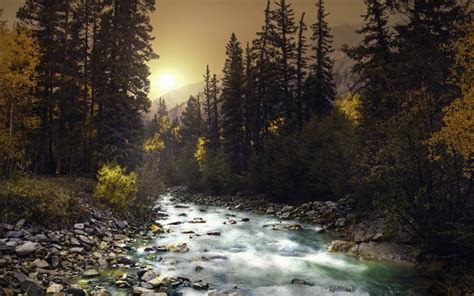 Download Wallpapers Mountain River Sunset Forest Green Trees
