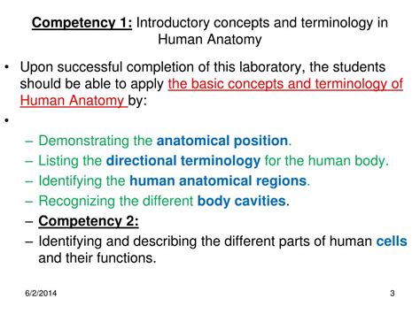 Ppt Anatomical Regions Directions Body Cavities The Cell