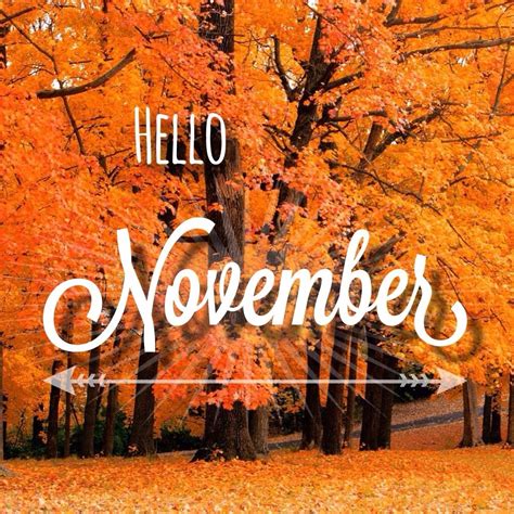 Hello November Hello November Welcome Fall November