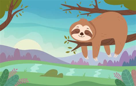 Sloth Hanging From Branch Stock Vectors Istock