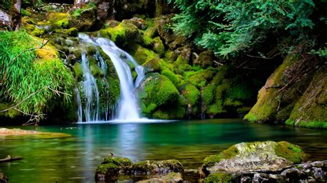 We have 85+ background pictures for you! 3D 1920x1080 HD Nature Wallpapers (56+ images)