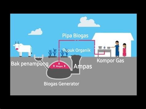 Proses Pembuatan Biogas Dari Kotoran Sapi Tema Kelas Sd Halaman