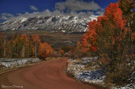 11 Country Roads In Colorado That Are Pure Bliss In The Fall