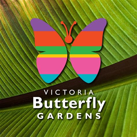 Photo Galleries — Victoria Butterfly Gardens