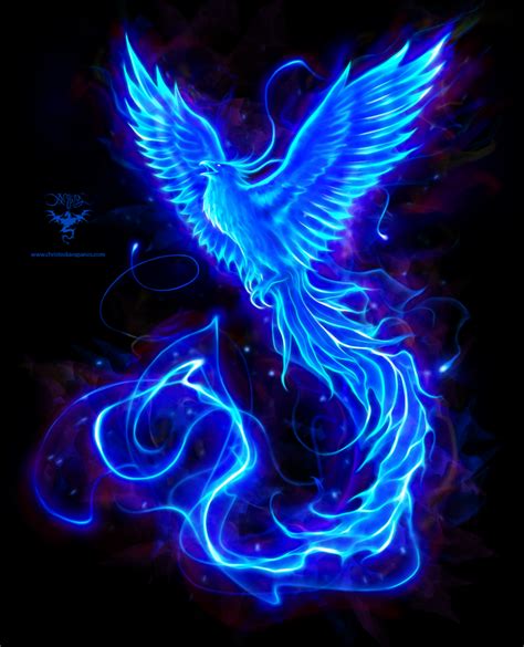 Blue Phoenix Logo By Amorphisss On Deviantart