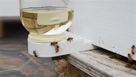 Boardman Entrance Feeder Flying Bee Ranch In Salem Oregon