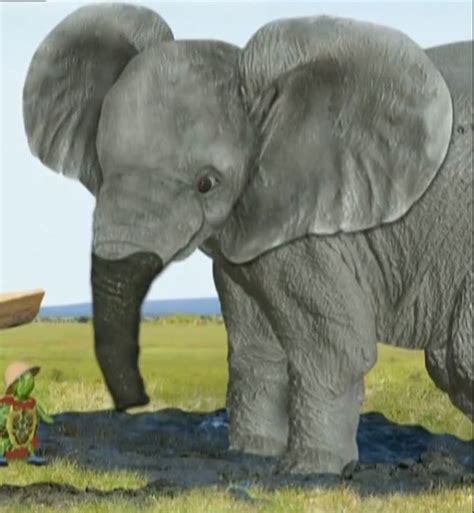 Save The Elephant Wonder Pets Wiki Fandom