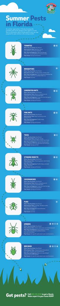 Infographic Common Summer Pests In Florida Nozzle Nolen