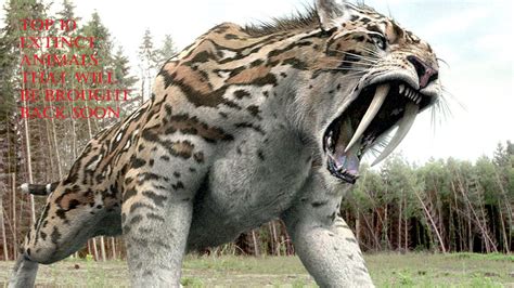 Top 10 Extinct Animals That Will Be Brought Back