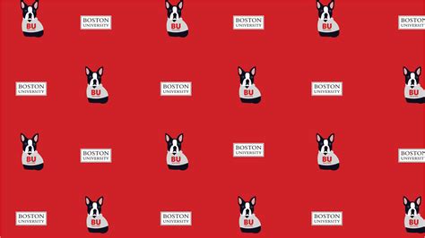 Download Boston University Terriers Art Wallpaper