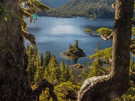 10 Best Hikes In Strathcona Provincial Park Breakaway Vacations