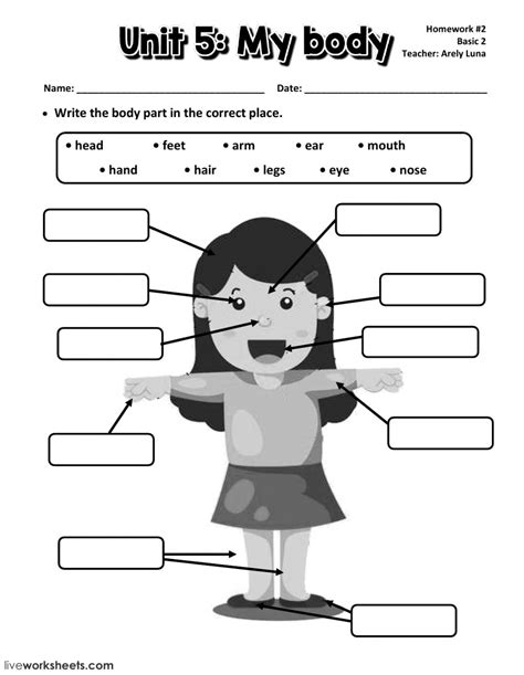 The body parts vocabulary builing worksheets contain 15+ pages of spelling worksheets body parts worksheets: My body - Interactive worksheet
