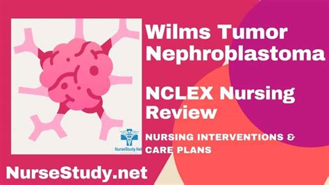 Wilms Tumor Nursing Diagnosis And Nursing Care Plan Nursestudynet