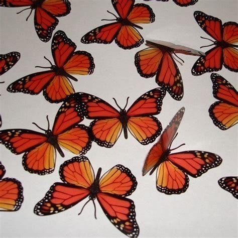 15x 3d Monarch Natural Butterflies Wall Decor Decal Scrapbooking Die