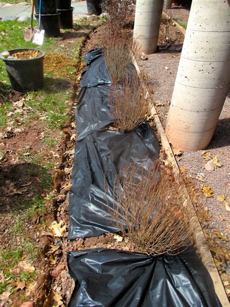 Watch the video explanation about how to mulch, the three musts of mulching online, article, story, explanation, suggestion, youtube. Art's Bayfield Almanac: PUTTING DOWN A WEED BARRIER MAT ...