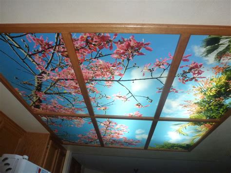 See more ideas about sky ceiling, ceiling murals, ceiling art. Sky Ceiling Murals - Highest Quality by | Ceiling murals ...
