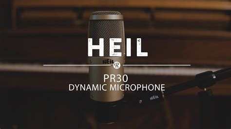 Heil Pr30 Dynamic Microphone Reverb Demo Video Youtube