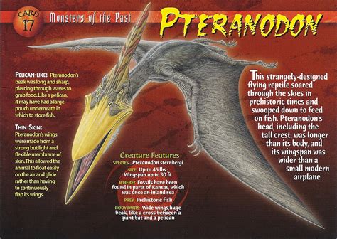 Image Pteranodon Front Dinosaur Wiki Fandom Powered By Wikia