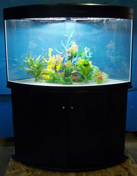 List Of 80 Gallon Fish Tank Dimensions Ideas