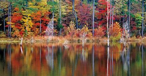 Fall Foliage 2017 Heres When The Leaves Will Be At Peak In Indiana