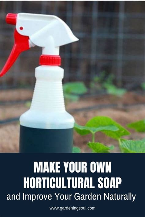 How to create your own soap (with lye). Make Your Own Horticultural Soap and Improve Your Garden ...