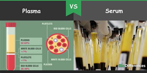 Difference Between Plasma and Serum – Bio Differences