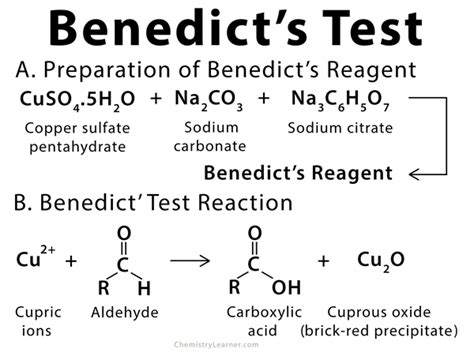 Benedicts Test Definition Principle Uses And Reagent
