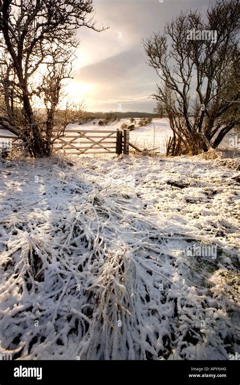 Winter Morning In The Yorkshire Dales North East England Stock Photo