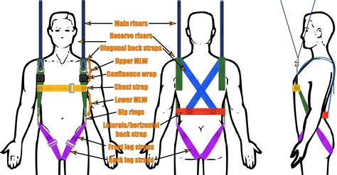 Diagram Harnesses Diagram Of Skydiving Mydiagramonline