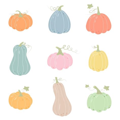 Premium Vector Set Of Pumpkins Hand Drawn Pumpkins Of Different