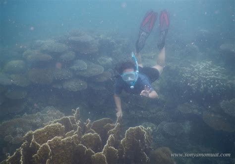 Pulau Babi Kecil Belitung Surga Bawah Laut Yg Sering Terlewatkan