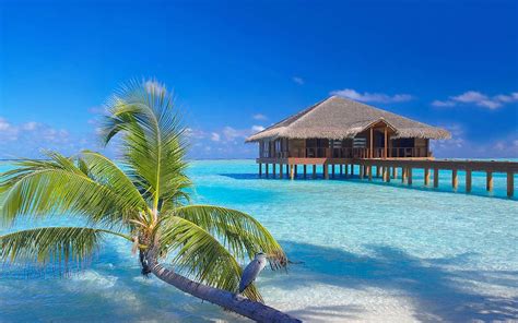 Море Мальдивы Фото Фото
