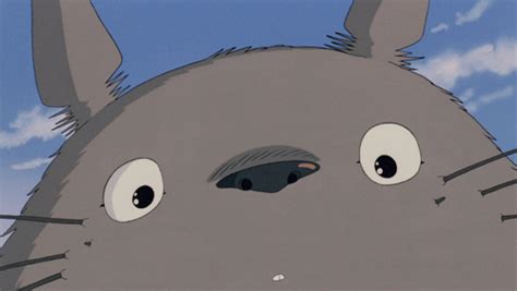 Totoro  Wallpaper Pc Totoro  On Tumblr Discover More Posts