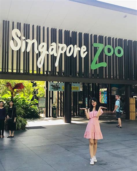 Singapore Zoo How To Get There And Guides On What To Do For First