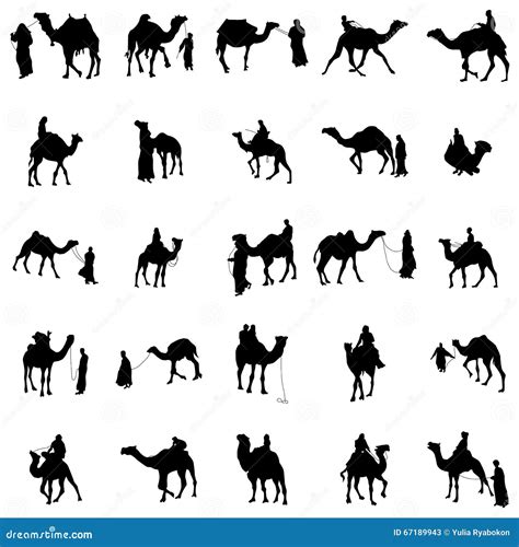 Camel Silhouette Set Stock Vector Illustration Of Caravan 67189943