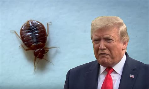 Trump Says Democrats Spreading Nasty Rumor About Bedbugs At Doral