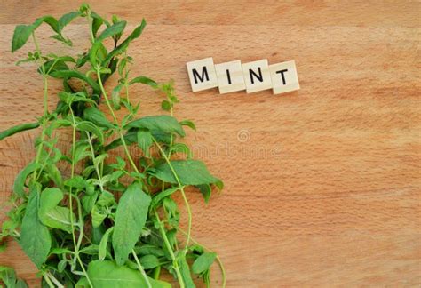 Bunch Of Fresh Mint On Wooden Backgroundword Mint Of Wooden Blocks