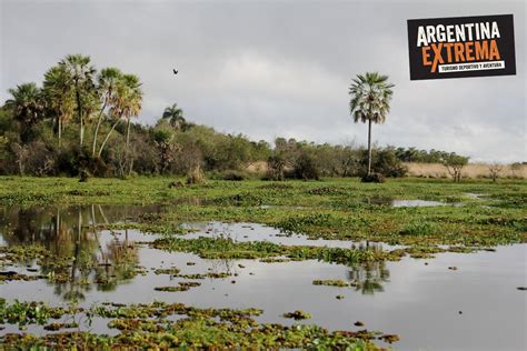 Multiaventura En Los Esteros Del Iberá Trekking Avistajes Y