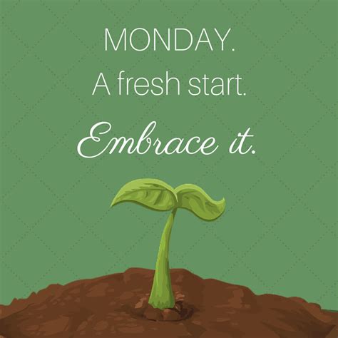 Mondays Are A Chance For A Brand New Start Get A Fresh Look At Your