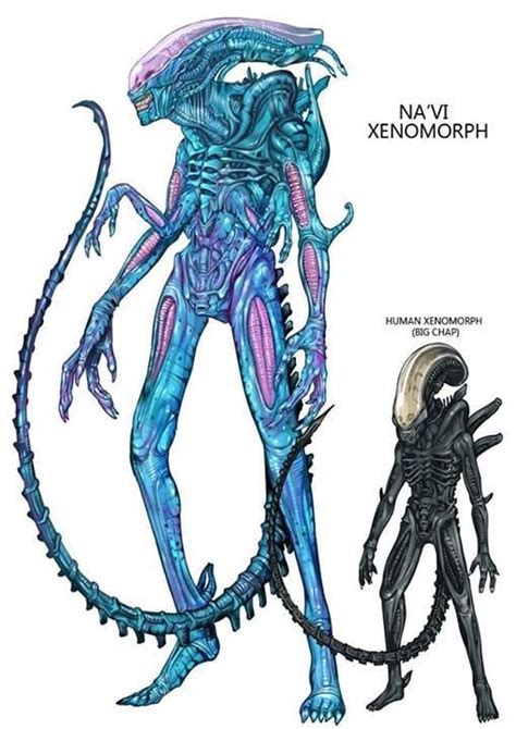 Navi Xenomorph Xenomorph Alien Vs Predator Alien Artwork