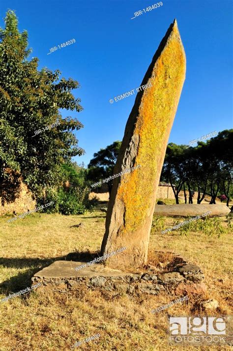 Ancient Undecorated Axumite Stele At Aksum Axum Unesco World Heritage