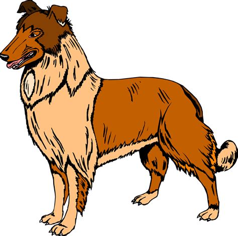 Collection Of Collie Clipart Free Download Best Collie Clipart On
