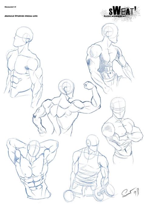 If you practice the techniques in this. Sweat Release#15: Muscle Studies from Life by DracowormArt | Tutoriel de dessin, Dessin homme ...