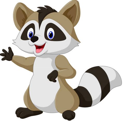 Royalty Free Raccoon Clip Art Vector Images And Illustrations Istock