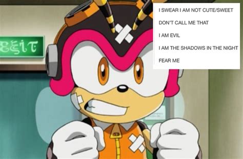 Charmy Bee Ask And Rp — Closed Rp With Mightyboyarmadillo