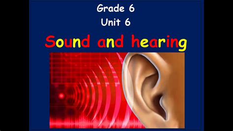 Sound And Hearing Youtube