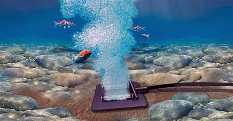 Check spelling or type a new query. Koi Pond Aeration - Hydrosphere - The Koi Pond Experts